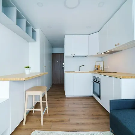 Apartment Stylish In Iii