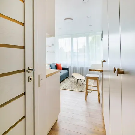 Stylish In Iii Apartment