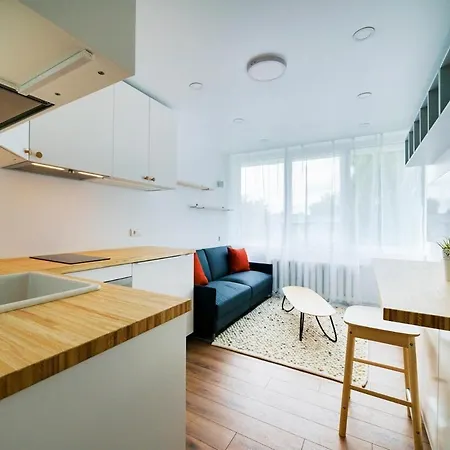 Stylish In Iii Apartment *